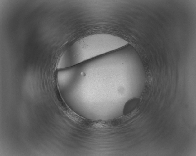 X0000051910568200507011536