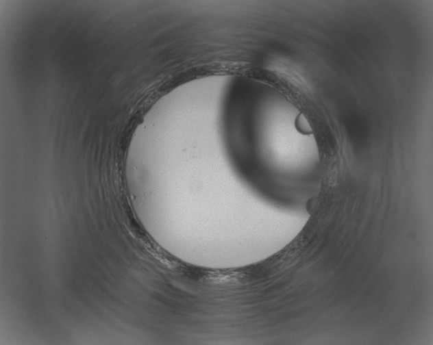 X0000051910569200507011536