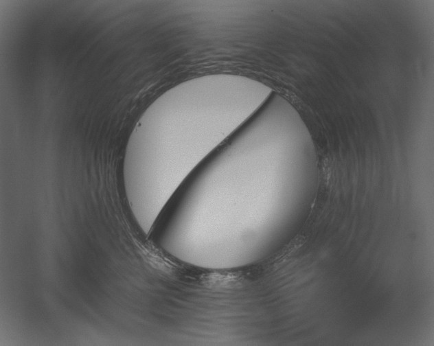 X0000051910570200507011537