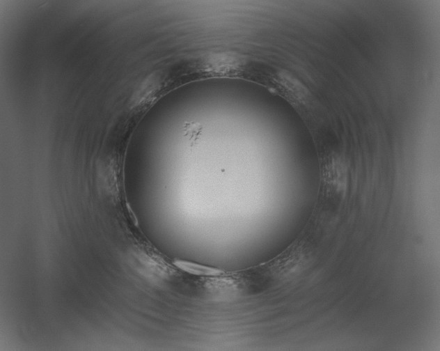 X0000051910572200507011537