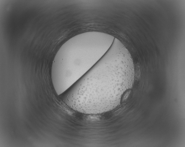 X0000051910573200507011537