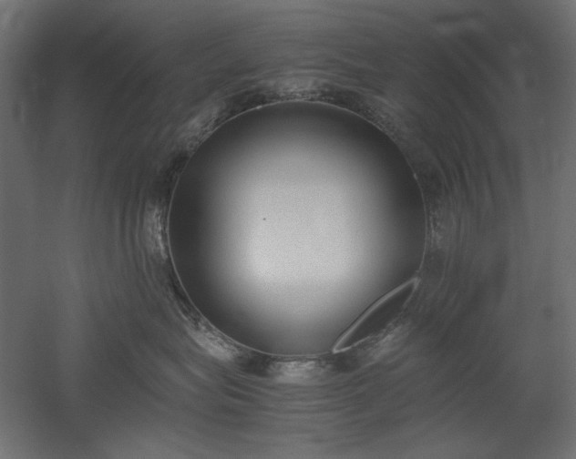 X0000051910575200507011537