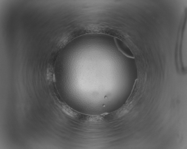 X0000051910576200507011537