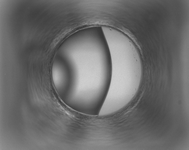 X0000051910577200507011536