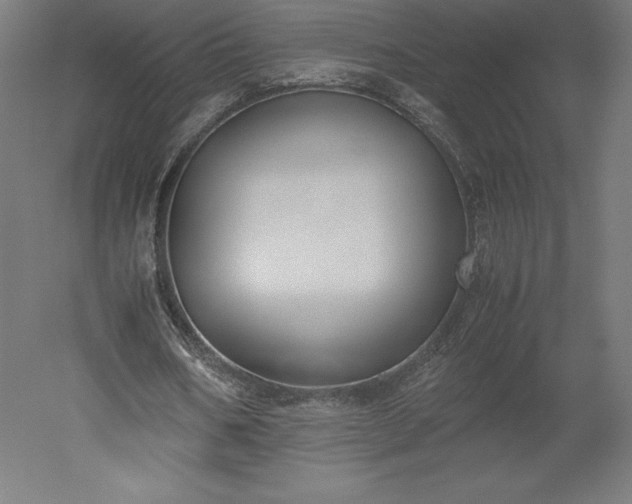 X0000051910578200507011536