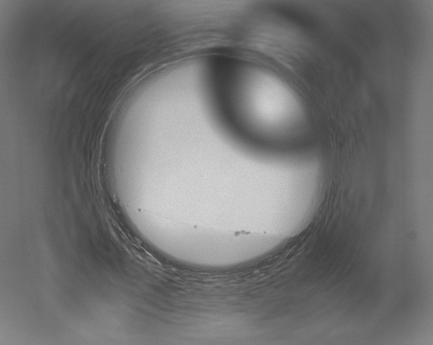 X0000051910579200507011536