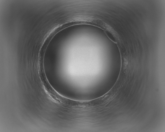 X0000051910580200507011536