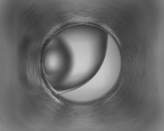 X0000051910581200507011536