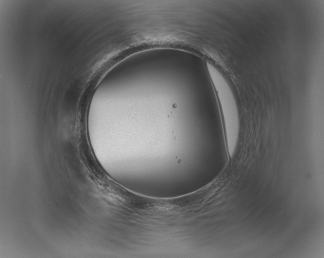 X0000051910583200507011536