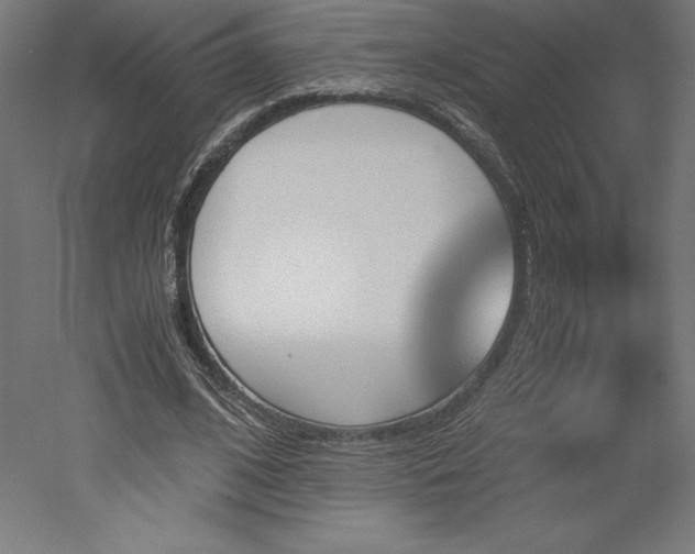 X0000051910584200507011536