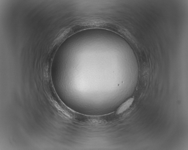 X0000051910585200507011536