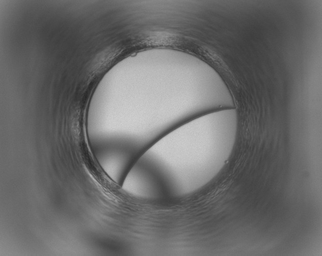 X0000051910586200507011536