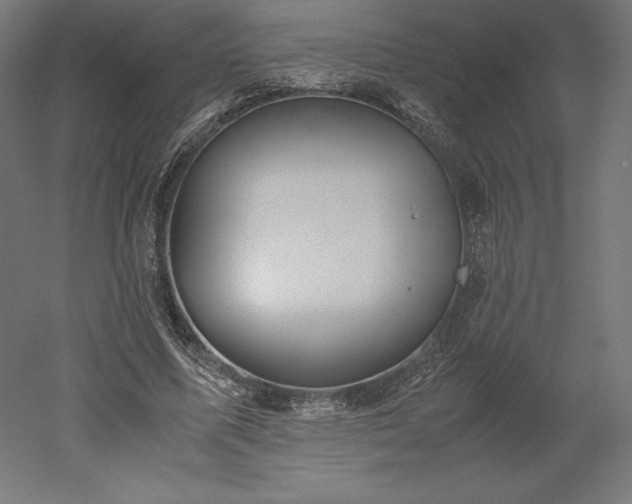 X0000051910587200507011536