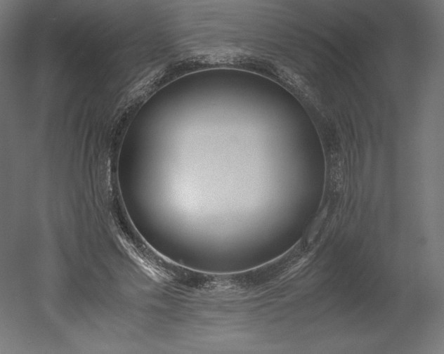 X0000051910589200507011536