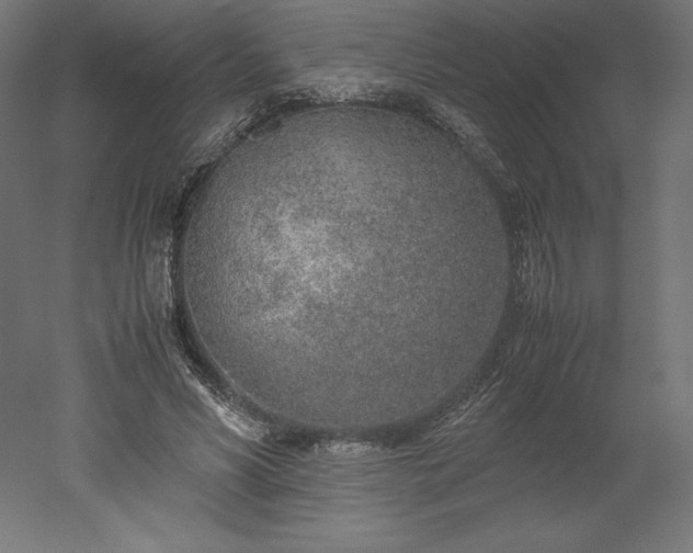 X0000051910590200507011536