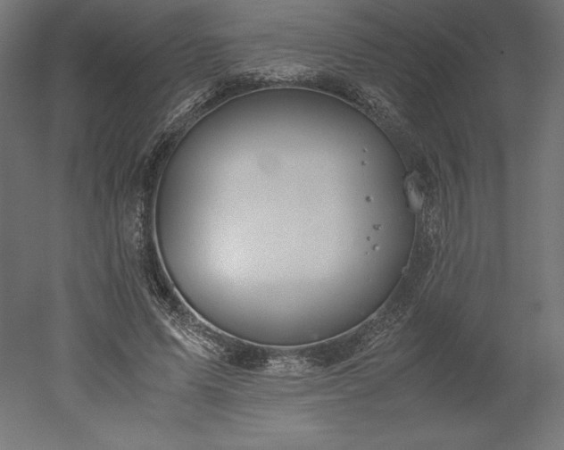 X0000051910591200507011536