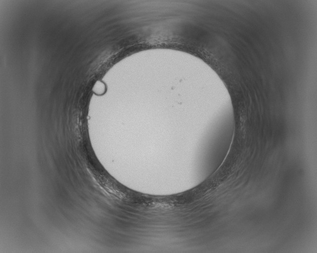 X0000051910592200507011536