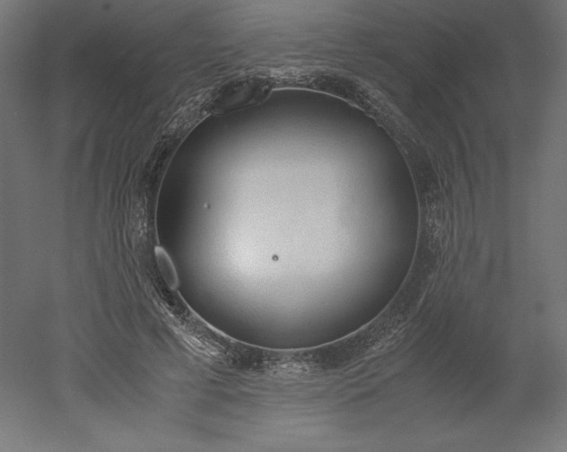 X0000051910593200507011536