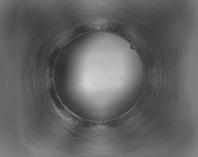 X0000051910594200507011536