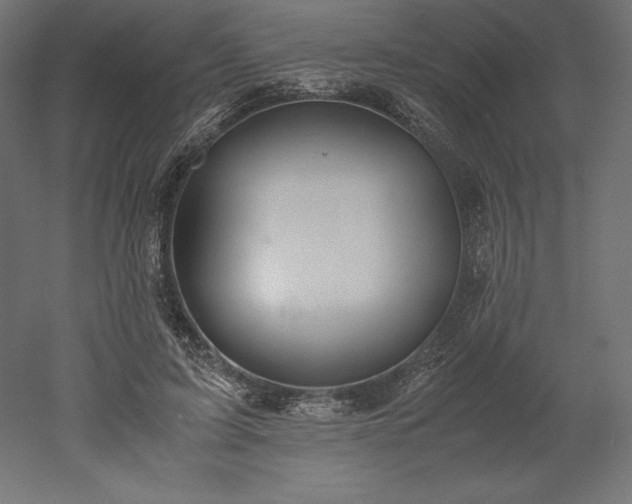 X0000051910595200507011535