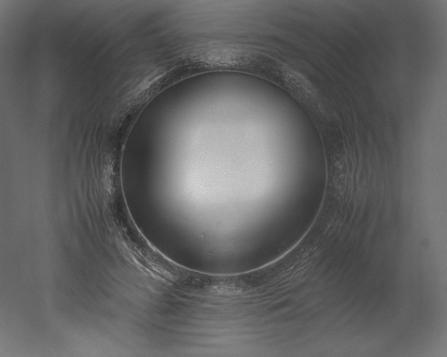 X0000051910596200507011535