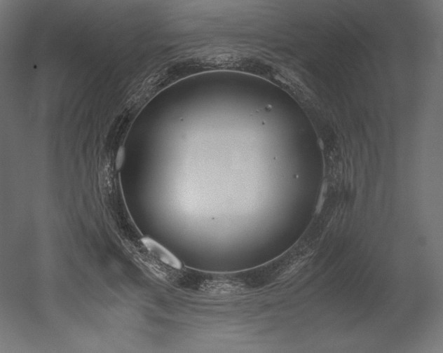 X0000051910597200507011535