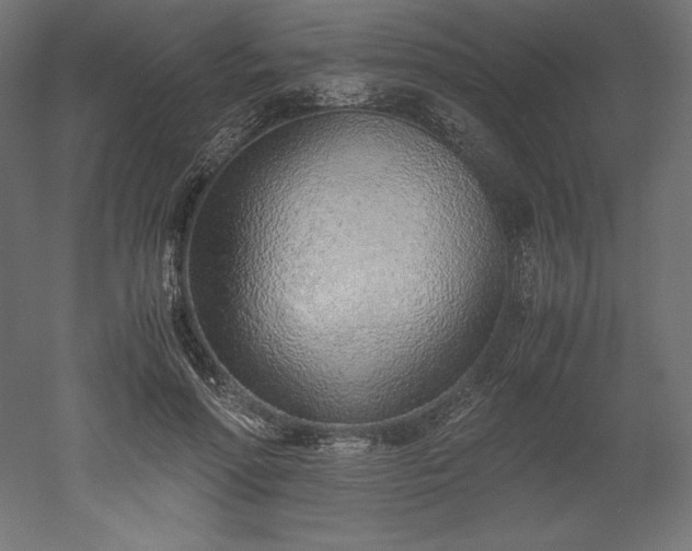 X0000051910598200507011535