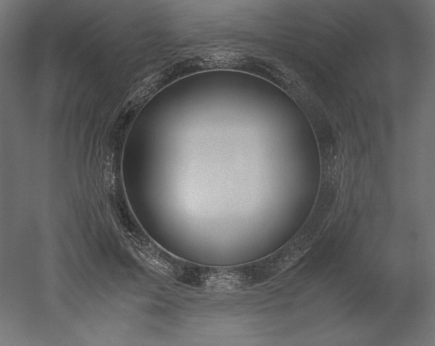 X0000051910599200507011535