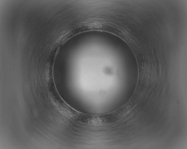 X0000051910600200507011535