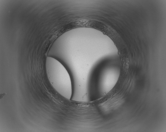 X0000051910602200507011535