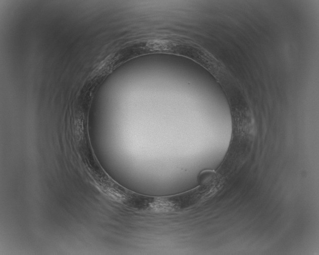 X0000051910603200507011535