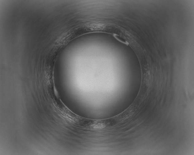 X0000051910604200507011535