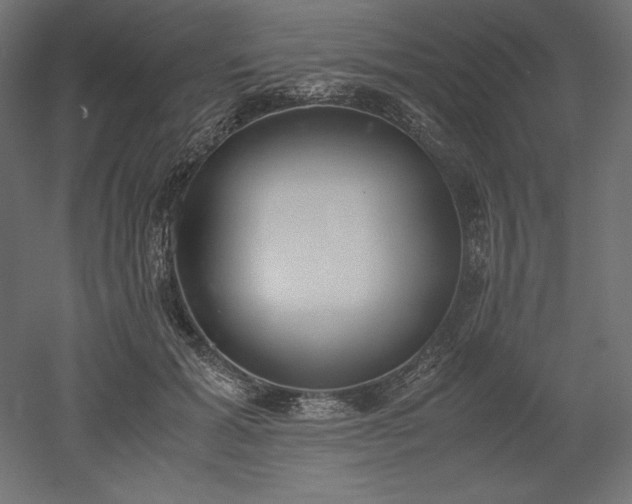 X0000051910605200507011535