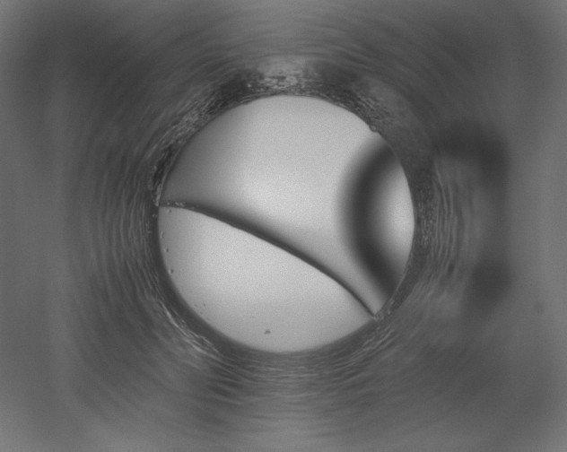 X0000051910606200507011535