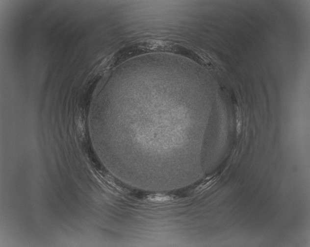 X0000051910607200507011535