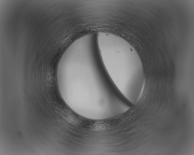 X0000051910608200507011535