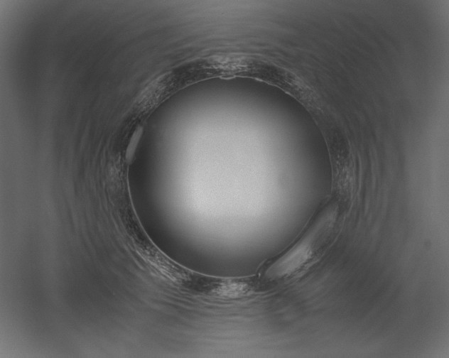 X0000051910609200507011535