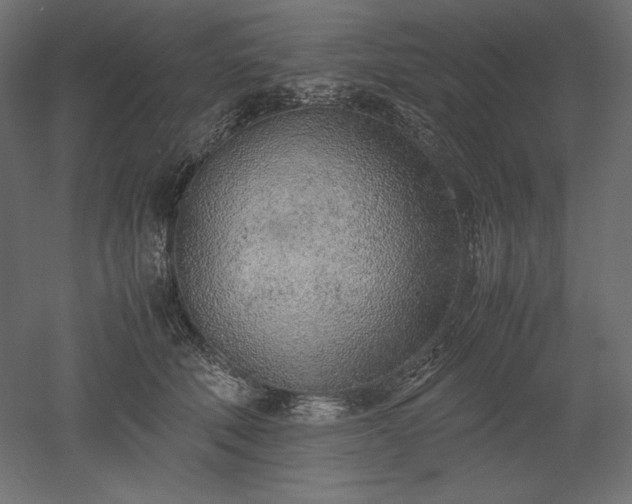 X0000051910610200507011535