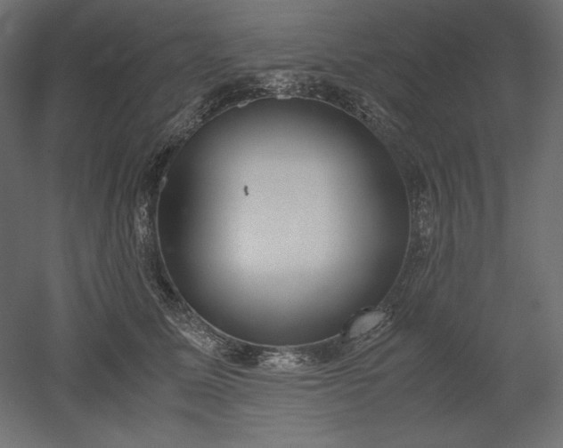 X0000051910611200507011535