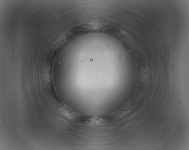 X0000051910612200507011535