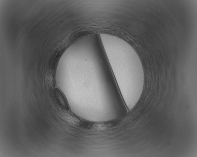 X0000051910613200507011535