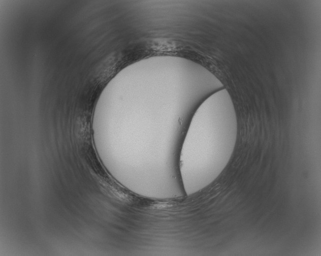 X0000051910614200507011535