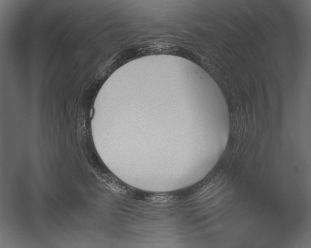 X0000051910615200507011535