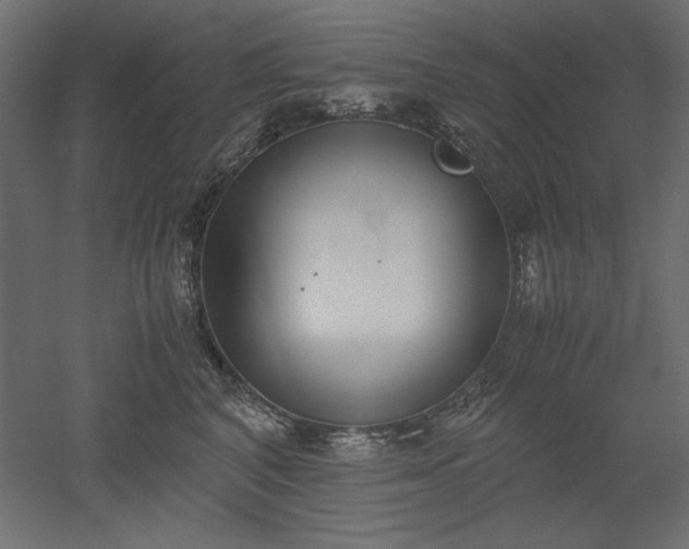 X0000051910616200507011535