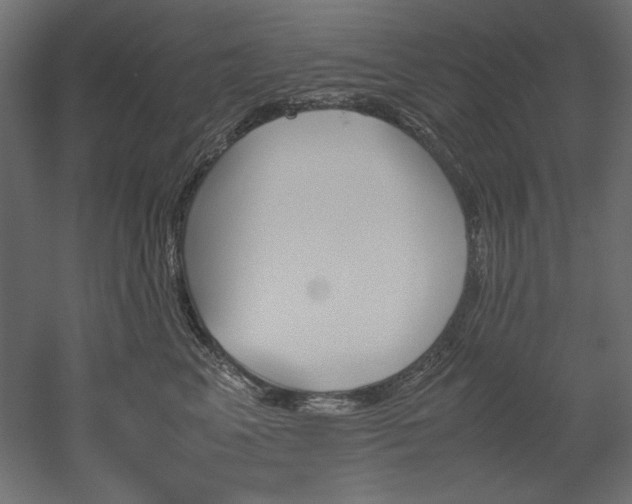 X0000051910617200507011535