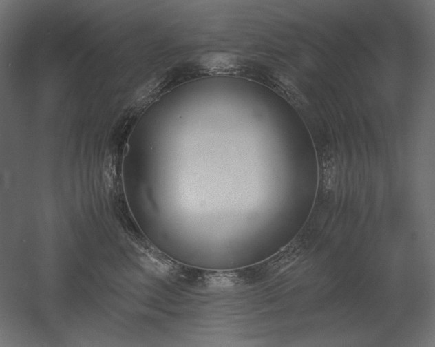 X0000051910618200507011535