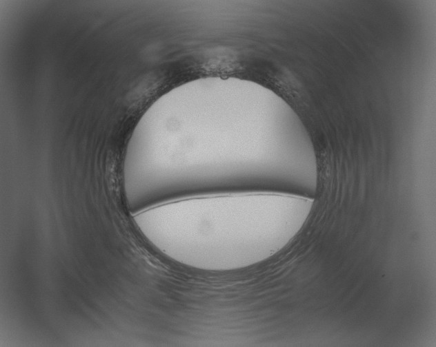 X0000051910619200507011535