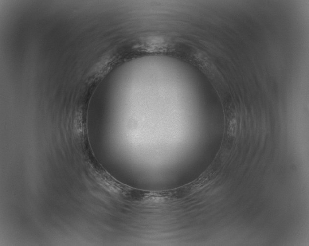 X0000051910620200507011535