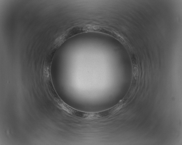 X0000051910621200507011535