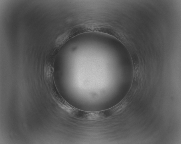 X0000051910623200507011535